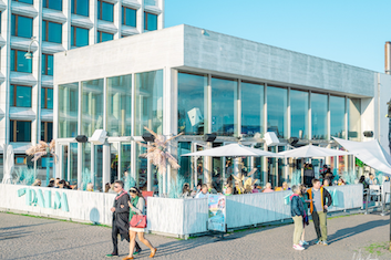 Social Networking Club Gallery - Summer party at the palm